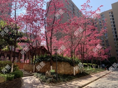 3室2廳2陽(yáng)臺(tái) 銀海領(lǐng)域戶型圖