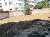 5室3廳5陽臺 龍華別墅別墅客廳