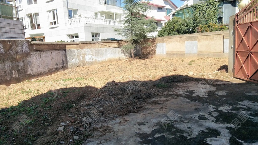 5室3廳5陽臺 龍華別墅別墅客廳