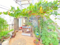 6室2廳3陽(yáng)臺(tái) 金玉緣自家花園