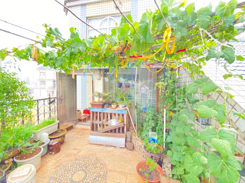 6室2廳3陽(yáng)臺(tái) 金玉緣自家花園