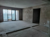 4室2廳2陽(yáng)臺(tái) 昆明湖中壩14號(hào)地塊臻園B區(qū)客廳