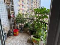 6室2廳3陽(yáng)臺(tái) 金玉緣陽(yáng)臺(tái)