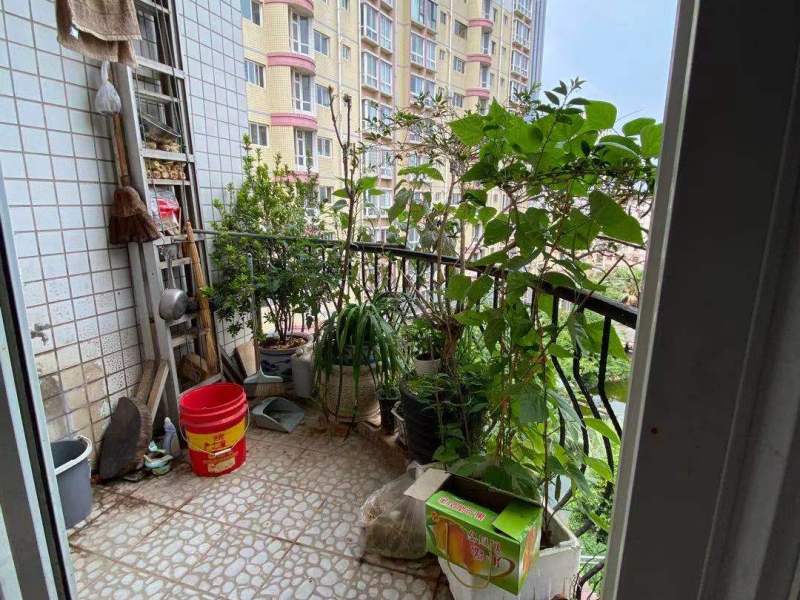 6室2廳3陽(yáng)臺(tái) 金玉緣陽(yáng)臺(tái)