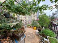 6室2廳3陽(yáng)臺(tái) 金玉緣陽(yáng)臺(tái)