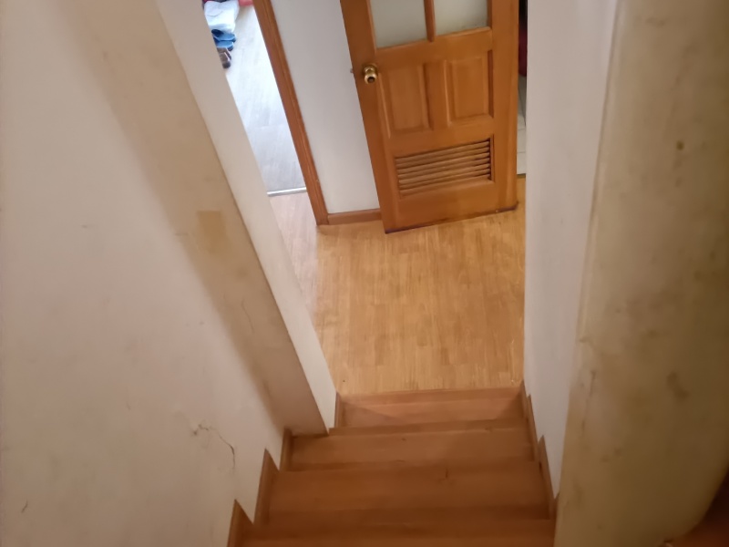 4室2廳1陽臺 西秀園其他