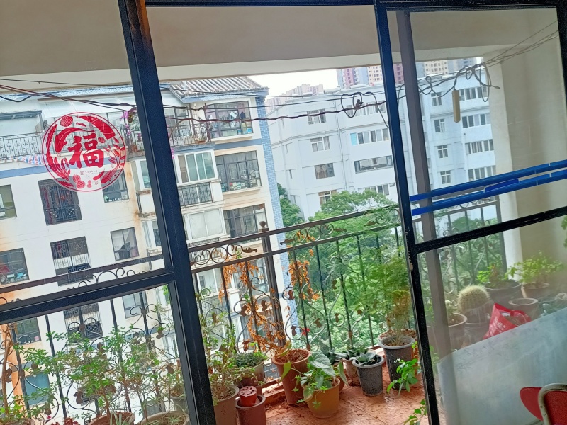 4室2廳1陽臺 西秀園其他