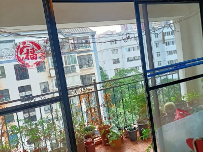 4室2廳1陽臺 西秀園其他