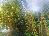 5室3廳3陽臺 云康園別墅客廳