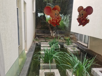 7室2廳3陽臺(tái) 世博生態(tài)城依山鄰里別墅其他