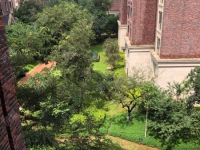 7室3廳3陽臺 俊發(fā)九夏云水4號地塊別墅其他