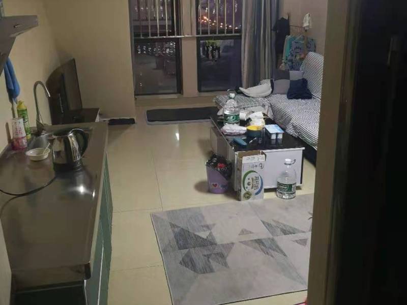 1室1廳 百大國(guó)際派公寓客廳