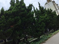 3室2廳 冶金研究院宿舍（圓通北路86號(hào)）戶型圖