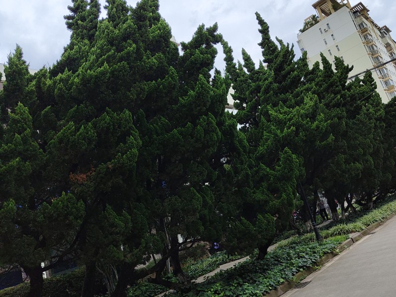 3室2廳 冶金研究院宿舍（圓通北路86號(hào)）戶型圖