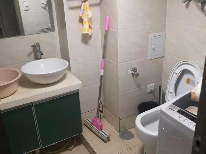 1室1廳 百大國(guó)際派公寓衛(wèi)生間