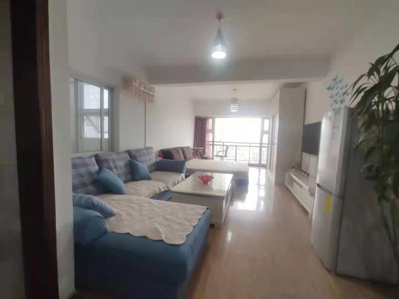 1室1厅1阳台 上海沙龙户型图