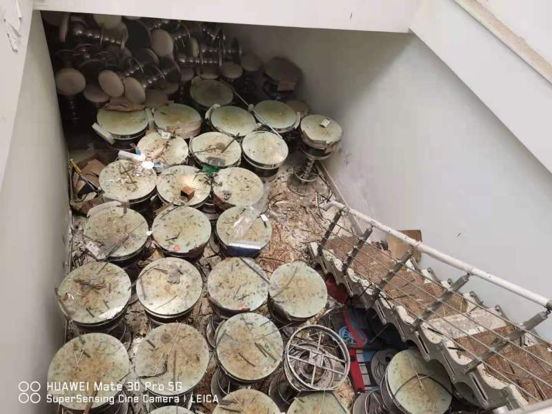 13室4廳8陽臺 公園道一號別墅其他