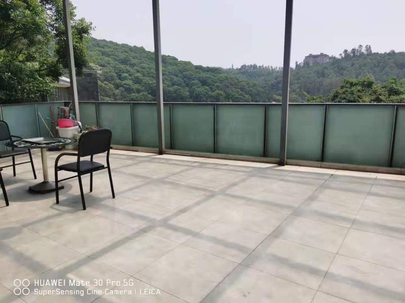 13室4廳8陽臺 公園道一號別墅其他