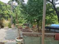 13室4廳8陽臺 公園道一號別墅其他