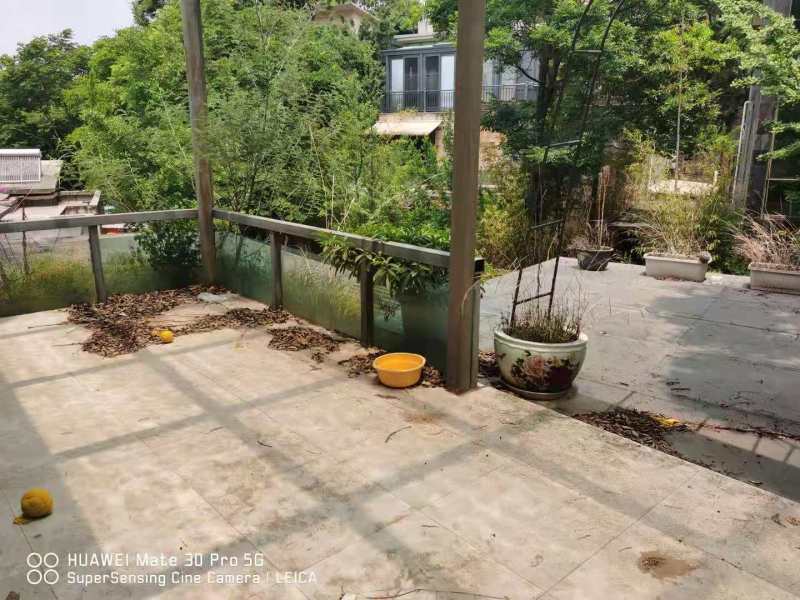 13室4廳8陽臺 公園道一號別墅其他