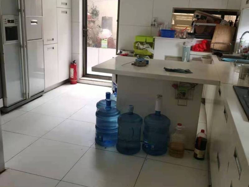 13室4廳8陽臺 公園道一號別墅其他