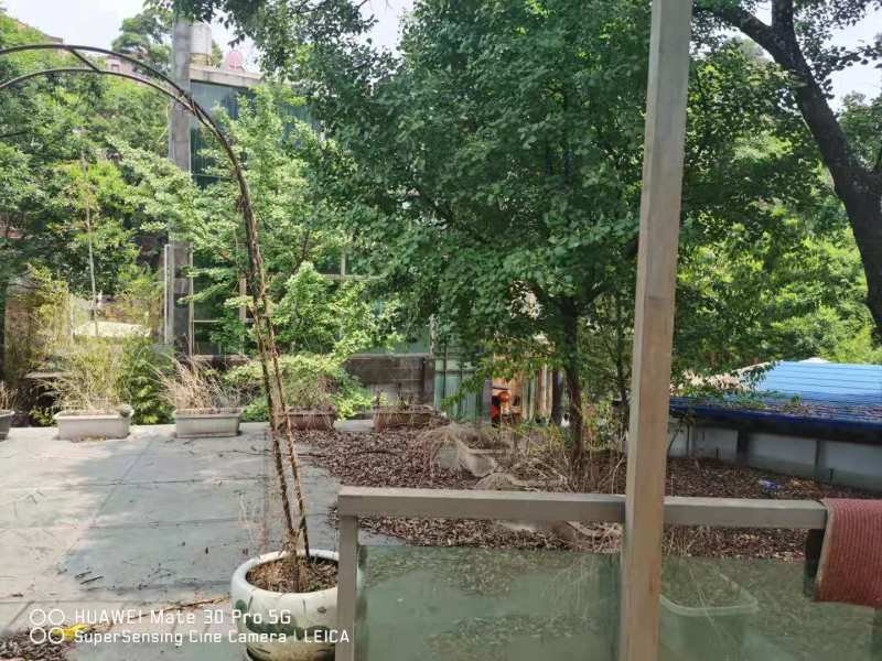 13室4廳8陽臺 公園道一號別墅其他