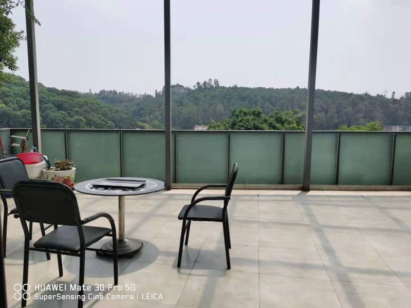 13室4廳8陽臺 公園道一號別墅其他