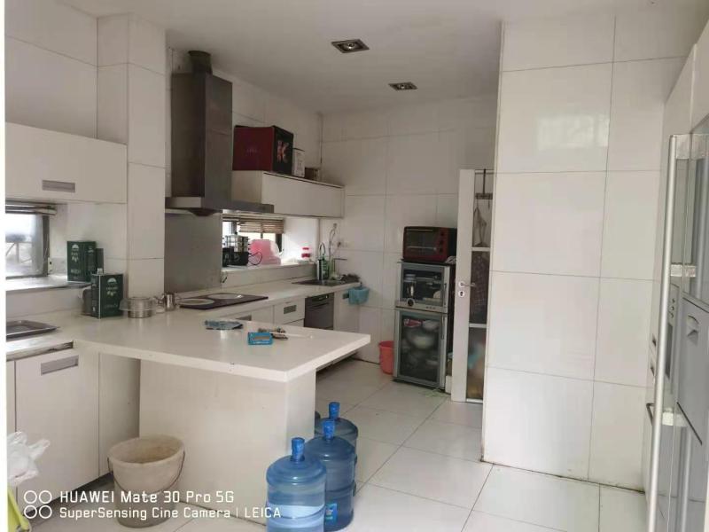 13室4廳8陽臺 公園道一號別墅其他