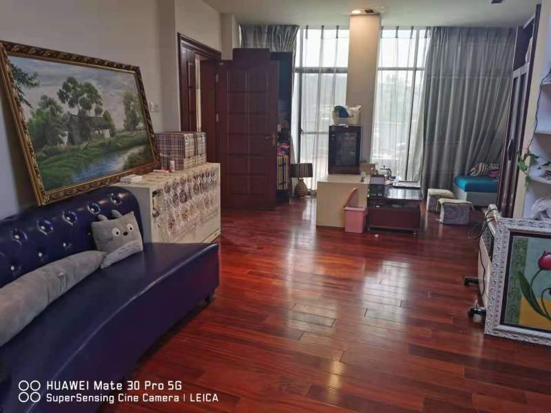 13室4廳8陽臺 公園道一號別墅其他