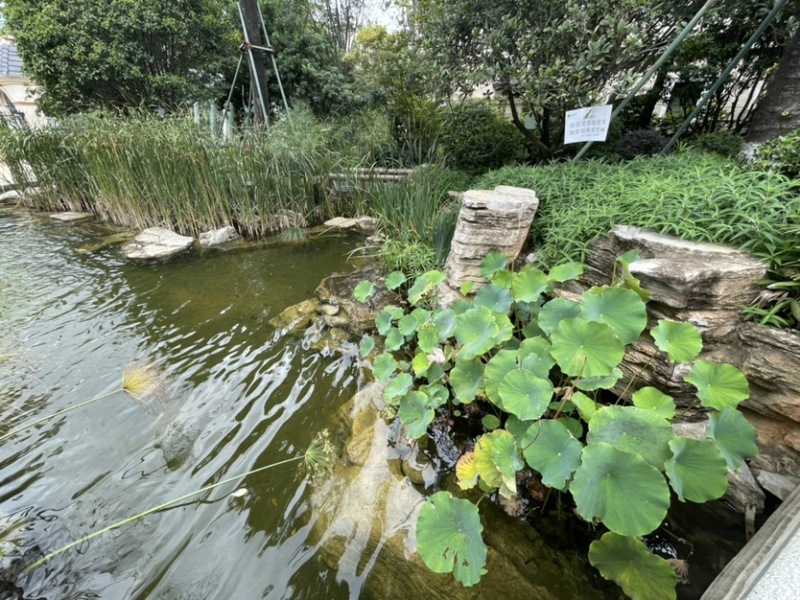 6室2廳4陽臺 公園1903康醍別墅其他