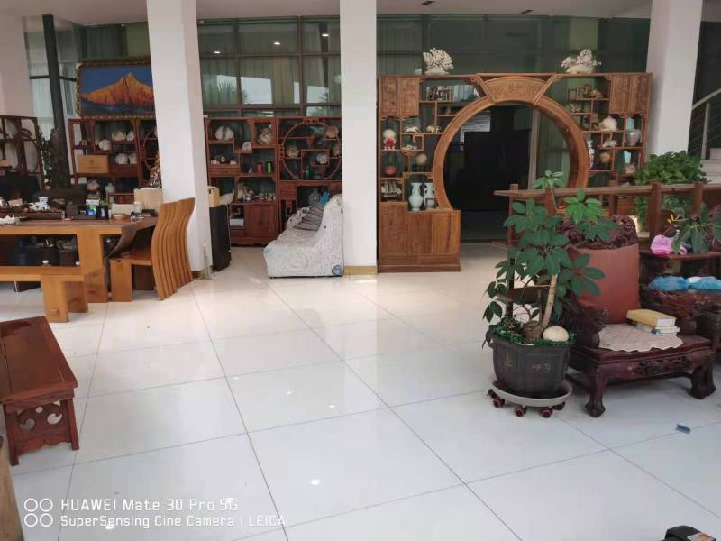 13室4廳8陽臺 公園道一號別墅其他