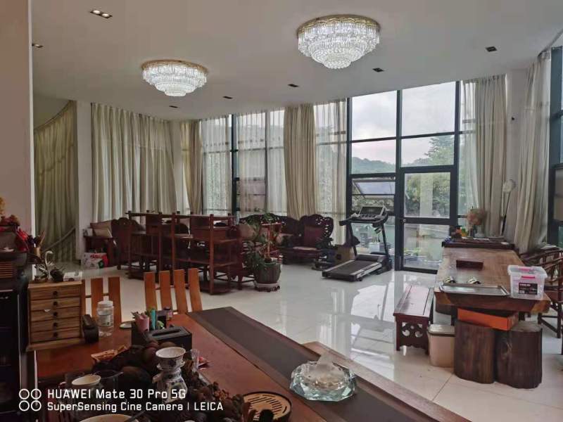 13室4廳8陽臺 公園道一號別墅其他