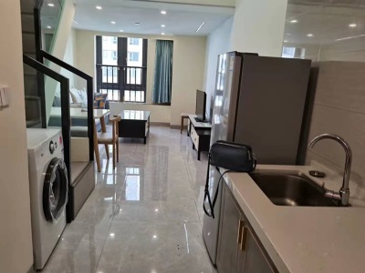 1室1廳1陽臺 華潤悅府二期