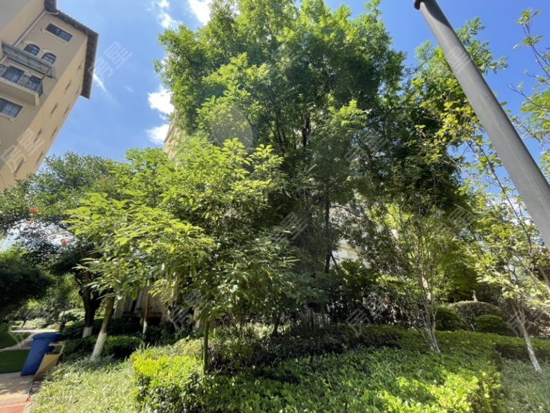 2室2廳2陽臺 公園1903蒙塔溪其他