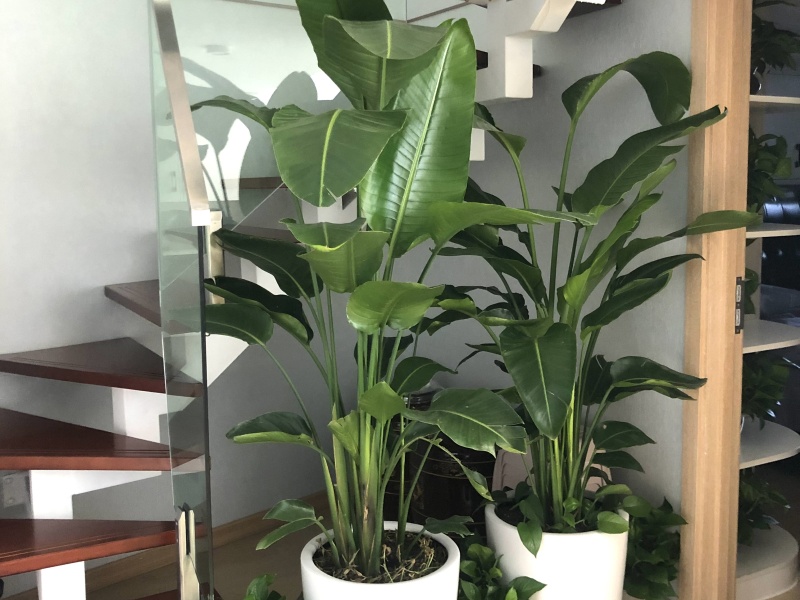 3室2廳 和悅銘著公寓其他