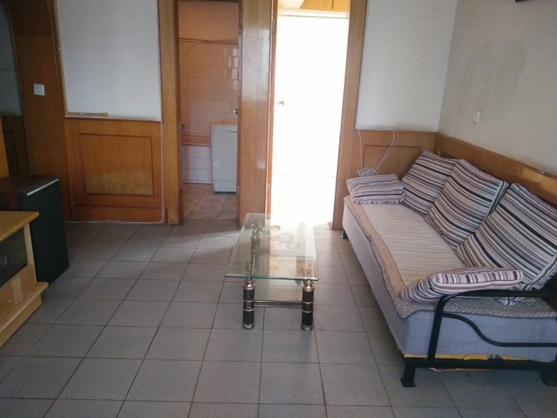 2室1廳 棕樹營煙廠高層客廳