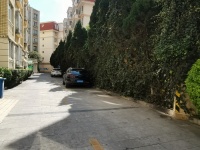 5室2廳2陽臺 大成名園戶型圖