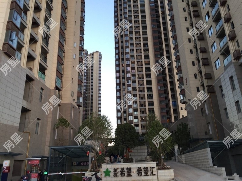 3室2廳2陽(yáng)臺(tái) 新希望希望匯其他