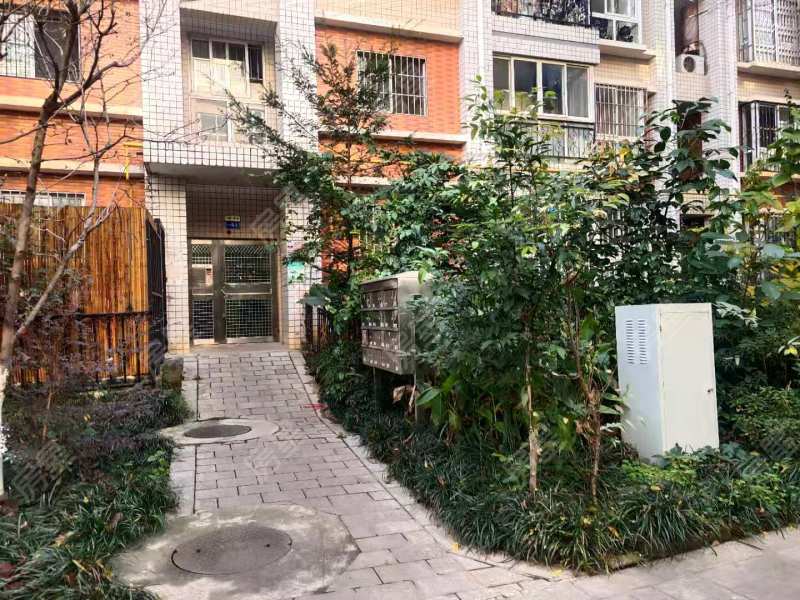 5室2廳2陽(yáng)臺(tái) 水岸楓林其他