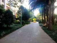 5室2廳2陽(yáng)臺(tái) 水岸楓林其他