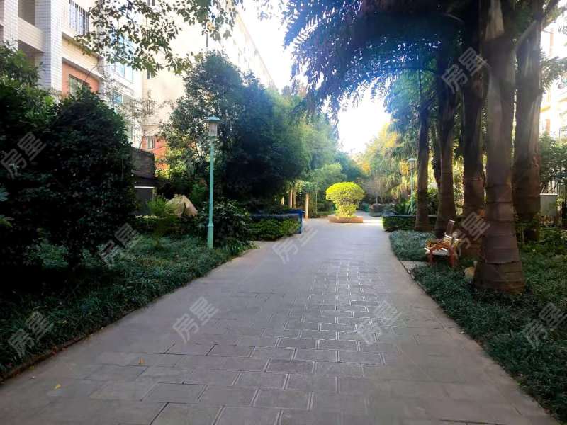 5室2廳2陽(yáng)臺(tái) 水岸楓林其他