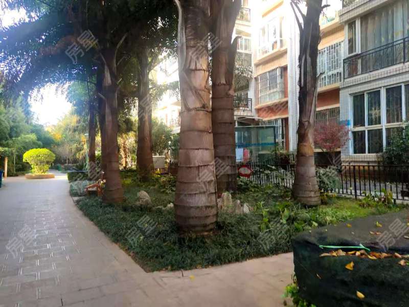 5室2廳2陽(yáng)臺(tái) 水岸楓林其他