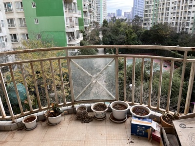 4室2廳3陽(yáng)臺(tái) 春之城