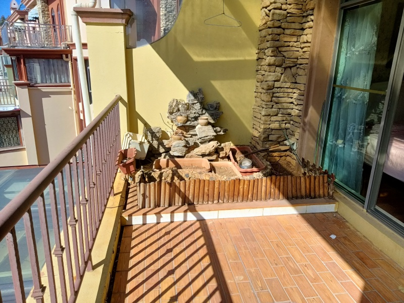 5室2廳4陽(yáng)臺(tái) 公園道一號(hào)別墅書(shū)房