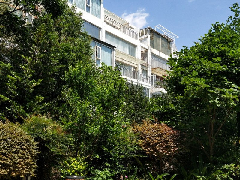 8室3廳4陽臺 湖畔之夢別墅自家花園