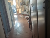 7室2廳2陽臺 世紀城玉春苑臥室