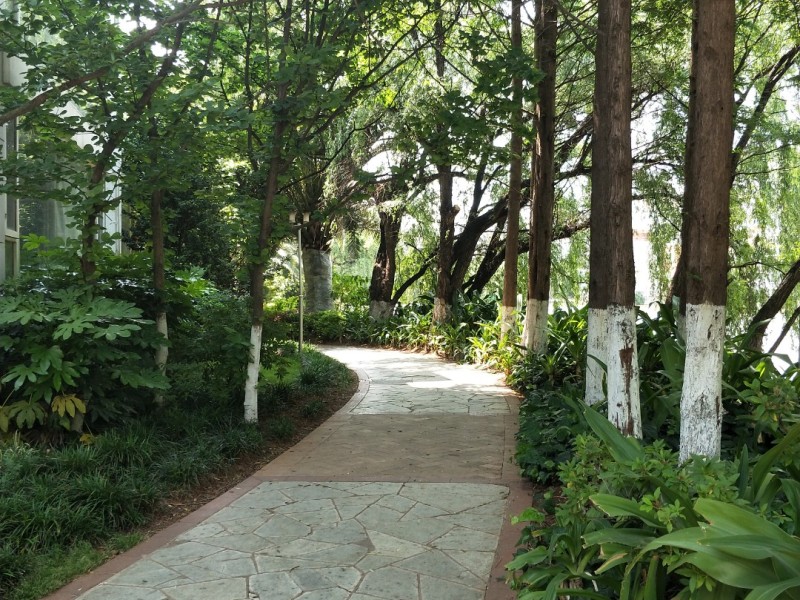 8室3廳4陽臺 湖畔之夢別墅自家花園