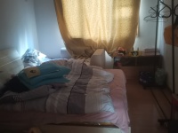 7室2廳2陽臺 世紀城玉春苑臥室