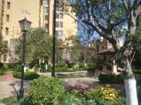 3室2廳1陽臺(tái) 平和花園其他