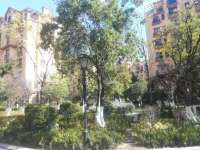 3室2廳1陽臺(tái) 平和花園其他